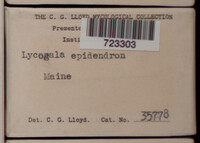 Image Associated With the Occurence